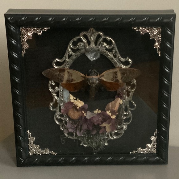 Custom handmade double framed cicada - Picture 3 of 4